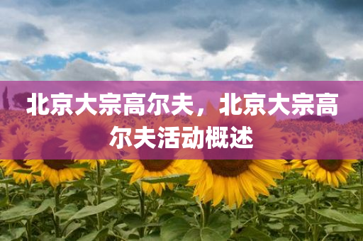 北京大宗高尔夫，北京大宗高尔夫活动概述
