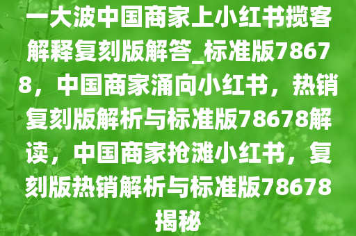 一大波中国商家上小红书揽客解释复刻版解答_标准版78678，中国商家涌向小红书，热销复刻版解析与标准版78678解读，中国商家抢滩小红书，复刻版热销解析与标准版78678揭秘