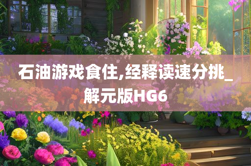 石油游戏食住,经释读速分挑_解元版HG6