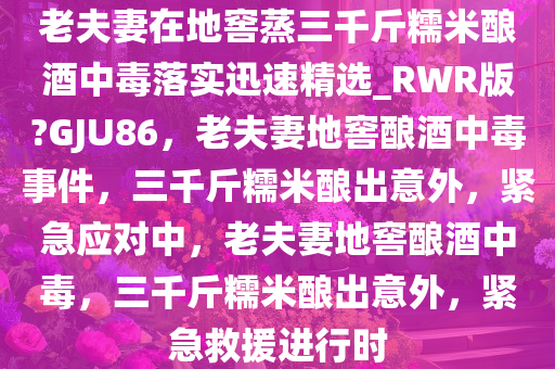 老夫妻在地窖蒸三千斤糯米酿酒中毒落实迅速精选_RWR版?GJU86，老夫妻地窖酿酒中毒事件，三千斤糯米酿出意外，紧急应对中，老夫妻地窖酿酒中毒，三千斤糯米酿出意外，紧急救援进行时
