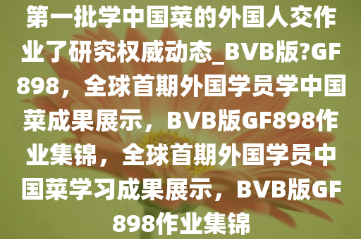 第一批学中国菜的外国人交作业了研究权威动态_BVB版?GF898，全球首期外国学员学中国菜成果展示，BVB版GF898作业集锦，全球首期外国学员中国菜学习成果展示，BVB版GF898作业集锦