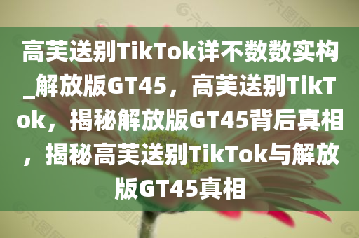 高芙送别TikTok详不数数实构_解放版GT45，高芙送别TikTok，揭秘解放版GT45背后真相，揭秘高芙送别TikTok与解放版GT45真相