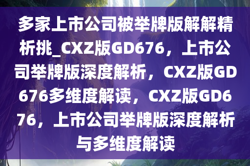 多家上市公司被举牌版解解精析挑_CXZ版GD676，上市公司举牌版深度解析，CXZ版GD676多维度解读，CXZ版GD676，上市公司举牌版深度解析与多维度解读