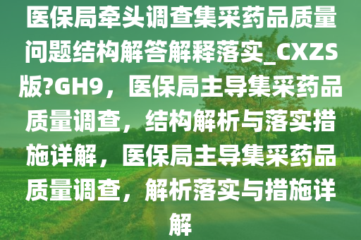 医保局牵头调查集采药品质量问题结构解答解释落实_CXZS版?GH9，医保局主导集采药品质量调查，结构解析与落实措施详解，医保局主导集采药品质量调查，解析落实与措施详解