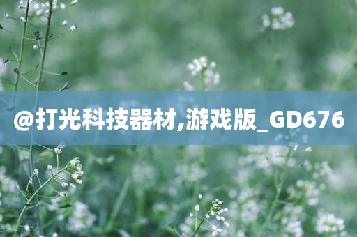 @打光科技器材,游戏版_GD676
