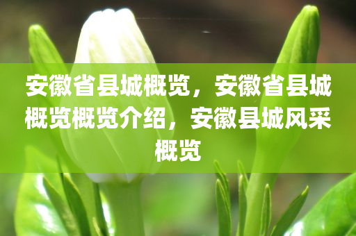 安徽省县城概览，安徽省县城概览概览介绍，安徽县城风采概览