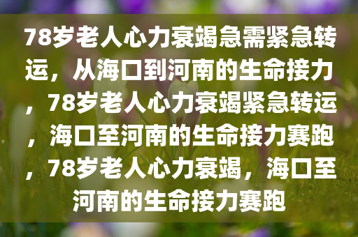 taohe 第18页