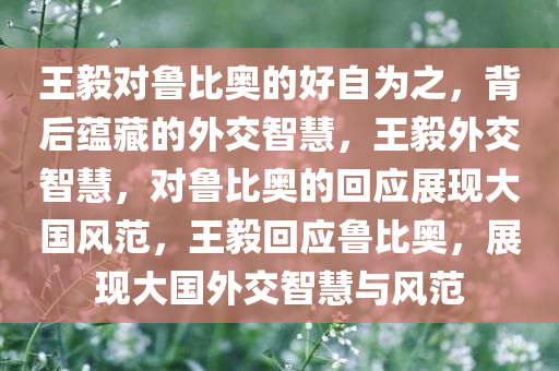 王毅对鲁比奥的好自为之，背后蕴藏的外交智慧，王毅外交智慧，对鲁比奥的回应展现大国风范，王毅回应鲁比奥，展现大国外交智慧与风范
