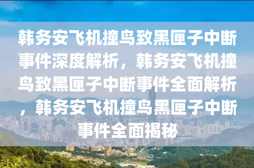 韩务安飞机撞鸟致黑匣子中断事件深度解析，韩务安飞机撞鸟致黑匣子中断事件全面解析，韩务安飞机撞鸟黑匣子中断事件全面揭秘