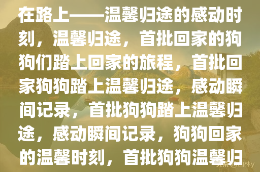 第一批过年回家的狗狗们已经在路上——温馨归途的感动时刻，温馨归途，首批回家的狗狗们踏上回家的旅程，首批回家狗狗踏上温馨归途，感动瞬间记录，首批狗狗踏上温馨归途，感动瞬间记录，狗狗回家的温馨时刻，首批狗狗温馨归途，感动瞬间记录