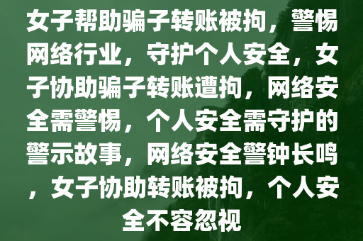 女子帮助骗子转账被拘，警惕网络行业，守护个人安全，女子协助骗子转账遭拘，网络安全需警惕，个人安全需守护的警示故事，网络安全警钟长鸣，女子协助转账被拘，个人安全不容忽视