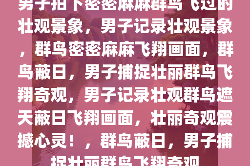 男子拍下密密麻麻群鸟飞过的壮观景象，男子记录壮观景象，群鸟密密麻麻飞翔画面，群鸟蔽日，男子捕捉壮丽群鸟飞翔奇观，男子记录壮观群鸟遮天蔽日飞翔画面，壮丽奇观震撼心灵！，群鸟蔽日，男子捕捉壮丽群鸟飞翔奇观