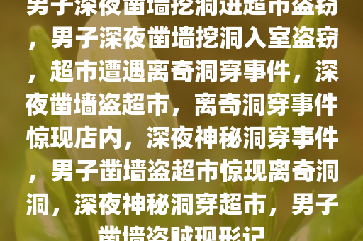 男子深夜凿墙挖洞进超市盗窃，男子深夜凿墙挖洞入室盗窃，超市遭遇离奇洞穿事件，深夜凿墙盗超市，离奇洞穿事件惊现店内，深夜神秘洞穿事件，男子凿墙盗超市惊现离奇洞洞，深夜神秘洞穿超市，男子凿墙盗贼现形记