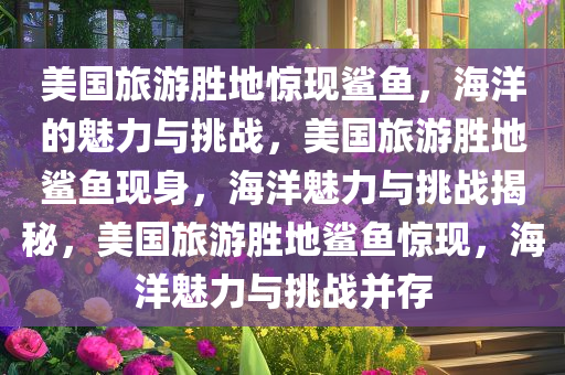 美国旅游胜地惊现鲨鱼，海洋的魅力与挑战，美国旅游胜地鲨鱼现身，海洋魅力与挑战揭秘，美国旅游胜地鲨鱼惊现，海洋魅力与挑战并存
