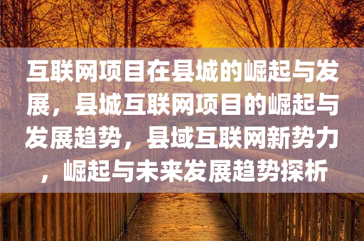 互联网项目在县城的崛起与发展，县城互联网项目的崛起与发展趋势，县域互联网新势力，崛起与未来发展趋势探析