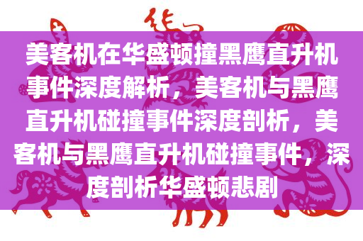美客机在华盛顿撞黑鹰直升机事件深度解析，美客机与黑鹰直升机碰撞事件深度剖析，美客机与黑鹰直升机碰撞事件，深度剖析华盛顿悲剧