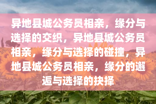 异地县城公务员相亲，缘分与选择的交织，异地县城公务员相亲，缘分与选择的碰撞，异地县城公务员相亲，缘分的邂逅与选择的抉择