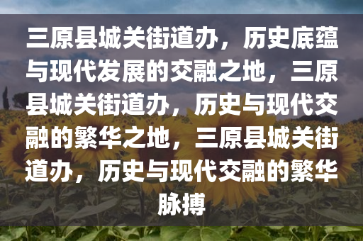 三原县城关街道办，历史底蕴与现代发展的交融之地，三原县城关街道办，历史与现代交融的繁华之地，三原县城关街道办，历史与现代交融的繁华脉搏