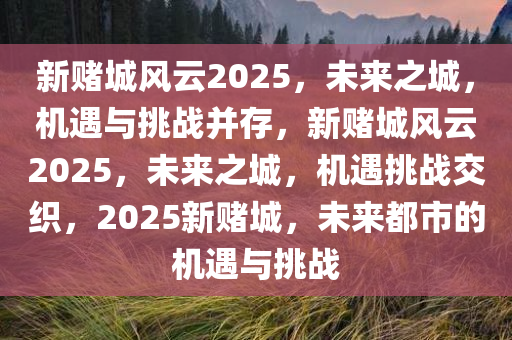新赌城风云2025，未来之城，机遇与挑战并存，新赌城风云2025，未来之城，机遇挑战交织，2025新赌城，未来都市的机遇与挑战