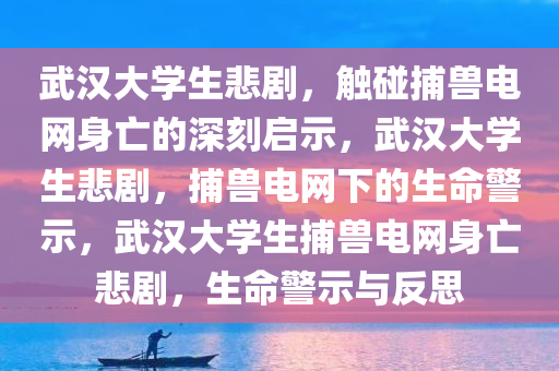 武汉大学生悲剧，触碰捕兽电网身亡的深刻启示，武汉大学生悲剧，捕兽电网下的生命警示，武汉大学生捕兽电网身亡悲剧，生命警示与反思