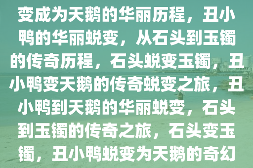 chenhaoqian 第14页