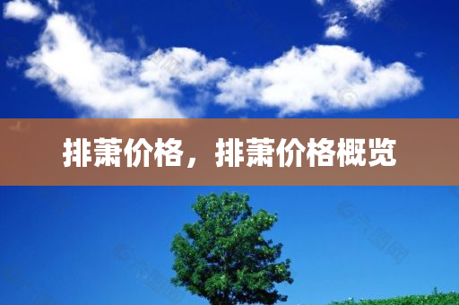 排萧价格，排萧价格概览