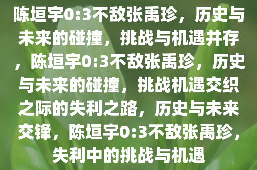 陈垣宇0:3不敌张禹珍，历史与未来的碰撞，挑战与机遇并存，陈垣宇0:3不敌张禹珍，历史与未来的碰撞，挑战机遇交织之际的失利之路，历史与未来交锋，陈垣宇0:3不敌张禹珍，失利中的挑战与机遇