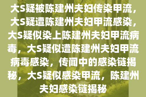 大S疑被陈建州夫妇传染甲流，大S疑遭陈建州夫妇甲流感染，大S疑似染上陈建州夫妇甲流病毒，大S疑似遭陈建州夫妇甲流病毒感染，传闻中的感染链揭秘，大S疑似感染甲流，陈建州夫妇感染链揭秘