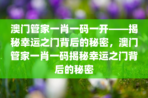 澳门管家一肖一码一开——揭秘幸运之门背后的秘密，澳门管家一肖一码揭秘幸运之门背后的秘密