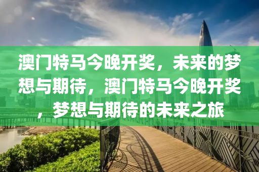 liziping 第13页