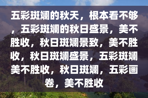 五彩斑斓的秋天，根本看不够，五彩斑斓的秋日盛景，美不胜收，秋日斑斓景致，美不胜收，秋日斑斓盛景，五彩斑斓美不胜收，秋日斑斓，五彩画卷，美不胜收