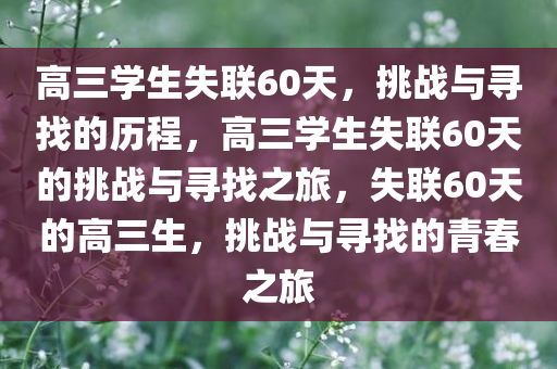 高三学生失联60天，挑战与寻找的历程，高三学生失联60天的挑战与寻找之旅，失联60天的高三生，挑战与寻找的青春之旅