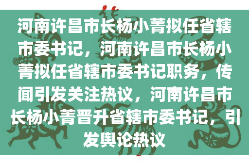 河南许昌市长杨小菁拟任省辖市委书记，河南许昌市长杨小菁拟任省辖市委书记职务，传闻引发关注热议，河南许昌市长杨小菁晋升省辖市委书记，引发舆论热议