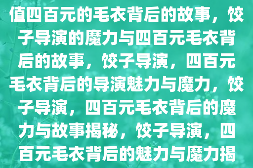 饺子导演的独特魅力，那件价值四百元的毛衣背后的故事，饺子导演的魔力与四百元毛衣背后的故事，饺子导演，四百元毛衣背后的导演魅力与魔力，饺子导演，四百元毛衣背后的魔力与故事揭秘，饺子导演，四百元毛衣背后的魅力与魔力揭秘