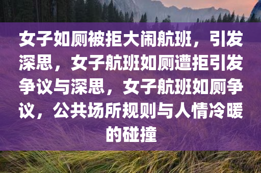 女子如厕被拒大闹航班，引发深思，女子航班如厕遭拒引发争议与深思，女子航班如厕争议，公共场所规则与人情冷暖的碰撞