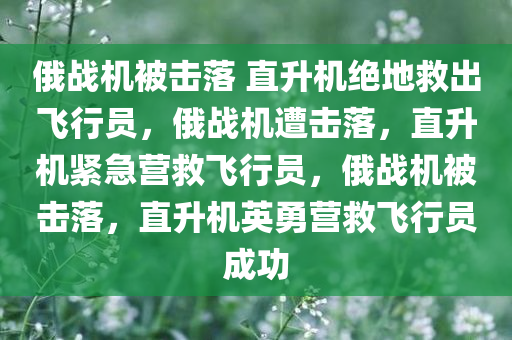 俄战机被击落 直升机绝地救出飞行员，俄战机遭击落，直升机紧急营救飞行员，俄战机被击落，直升机英勇营救飞行员成功