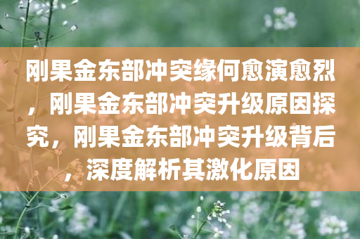 刚果金东部冲突缘何愈演愈烈，刚果金东部冲突升级原因探究，刚果金东部冲突升级背后，深度解析其激化原因