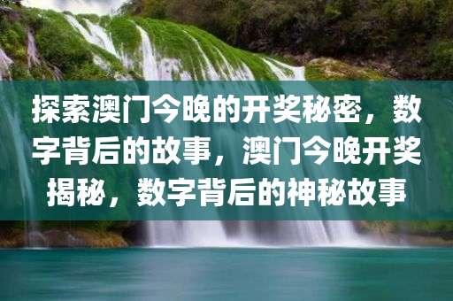 探索澳门今晚的开奖秘密，数字背后的故事，澳门今晚开奖揭秘，数字背后的神秘故事