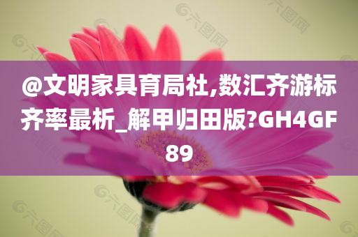 @文明家具育局社,数汇齐游标齐率最析_解甲归田版?GH4GF89