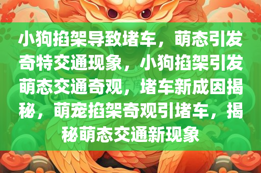 小狗掐架导致堵车，萌态引发奇特交通现象，小狗掐架引发萌态交通奇观，堵车新成因揭秘，萌宠掐架奇观引堵车，揭秘萌态交通新现象
