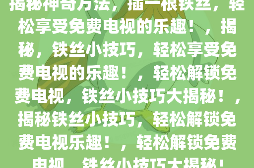 揭秘神奇方法，插一根铁丝，轻松享受免费电视的乐趣！，揭秘，铁丝小技巧，轻松享受免费电视的乐趣！，轻松解锁免费电视，铁丝小技巧大揭秘！，揭秘铁丝小技巧，轻松解锁免费电视乐趣！，轻松解锁免费电视，铁丝小技巧大揭秘！