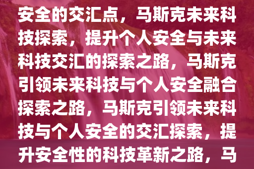 马斯克称要最大程度提升自身安全——探索未来科技与个人安全的交汇点，马斯克未来科技探索，提升个人安全与未来科技交汇的探索之路，马斯克引领未来科技与个人安全融合探索之路，马斯克引领未来科技与个人安全的交汇探索，提升安全性的科技革新之路，马斯克探索未来科技与个人安全融合之路