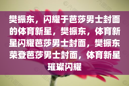 樊振东，闪耀于芭莎男士封面的体育新星，樊振东，体育新星闪耀芭莎男士封面，樊振东荣登芭莎男士封面，体育新星璀璨闪耀