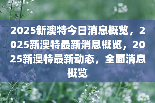 2025新澳特今日消息概览，2025新澳特最新消息概览，2025新澳特最新动态，全面消息概览