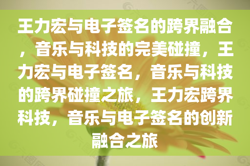 王力宏与电子签名的跨界融合，音乐与科技的完美碰撞，王力宏与电子签名，音乐与科技的跨界碰撞之旅，王力宏跨界科技，音乐与电子签名的创新融合之旅