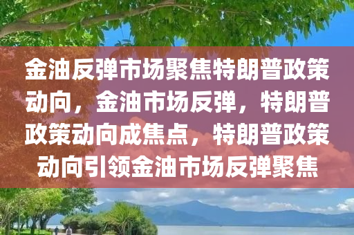 金油反弹市场聚焦特朗普政策动向，金油市场反弹，特朗普政策动向成焦点，特朗普政策动向引领金油市场反弹聚焦
