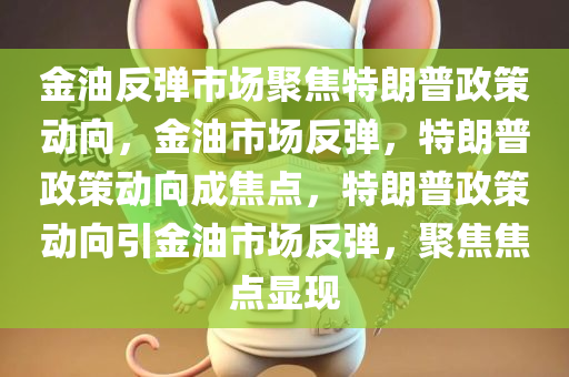 金油反弹市场聚焦特朗普政策动向，金油市场反弹，特朗普政策动向成焦点，特朗普政策动向引金油市场反弹，聚焦焦点显现