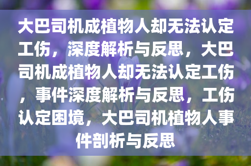 大巴司机成植物人却无法认定工伤，深度解析与反思，大巴司机成植物人却无法认定工伤，事件深度解析与反思，工伤认定困境，大巴司机植物人事件剖析与反思
