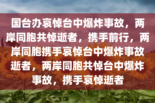 国台办哀悼台中爆炸事故，两岸同胞共悼逝者，携手前行，两岸同胞携手哀悼台中爆炸事故逝者，两岸同胞共悼台中爆炸事故，携手哀悼逝者