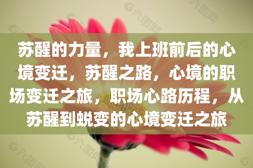 苏醒的力量，我上班前后的心境变迁，苏醒之路，心境的职场变迁之旅，职场心路历程，从苏醒到蜕变的心境变迁之旅